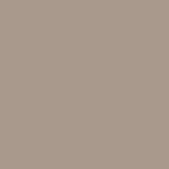Comeback Camel - AT840 - Pionite 