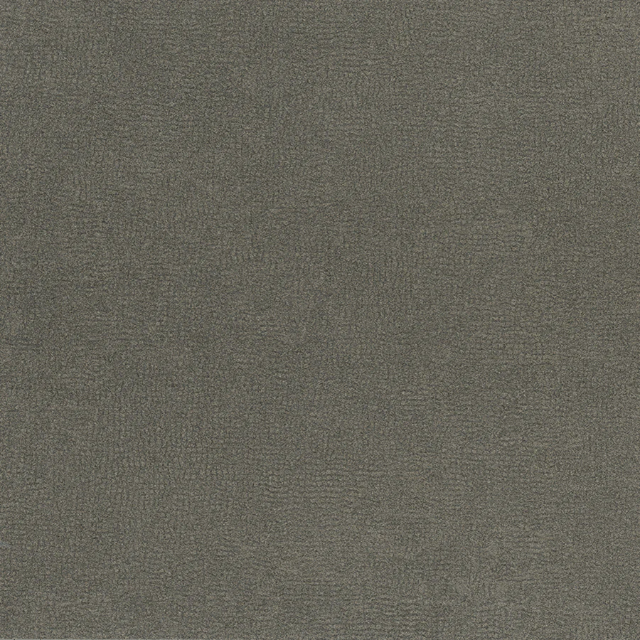 Passin Through - AV250 - Pionite 