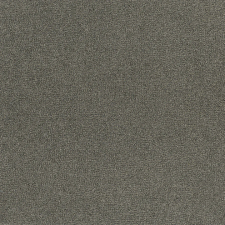 Passin Through - AV250 - Pionite 