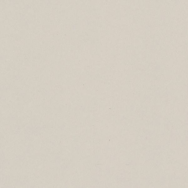 Bridal Blanco - AW200 - Pionite 