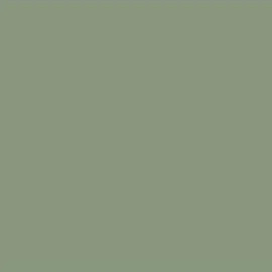 Tuscan Olive - D481 - Wilsonart 