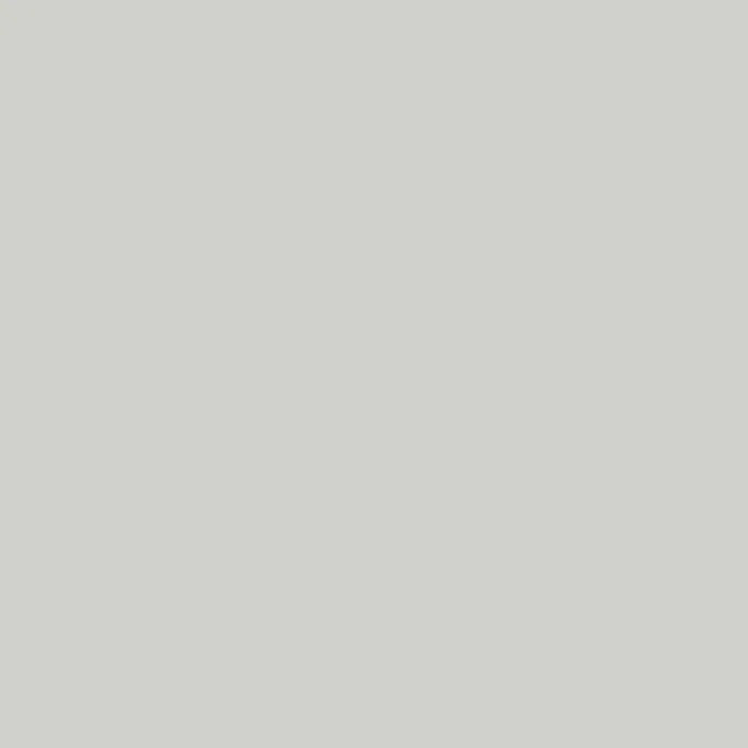 Silver Mist - D506 - Wilsonart Laminate Sheets