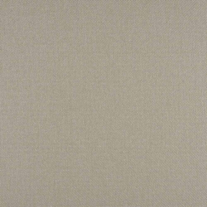 Plex Argent - M5306 - Formica DecoMetal Laminate