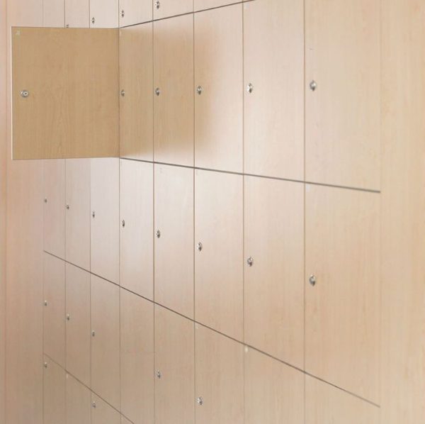 White Elm - WE261 - Pionite Laminate