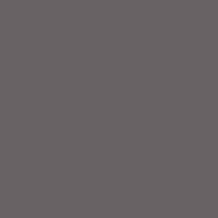  Ingot Gray - SG211 - Pionite 