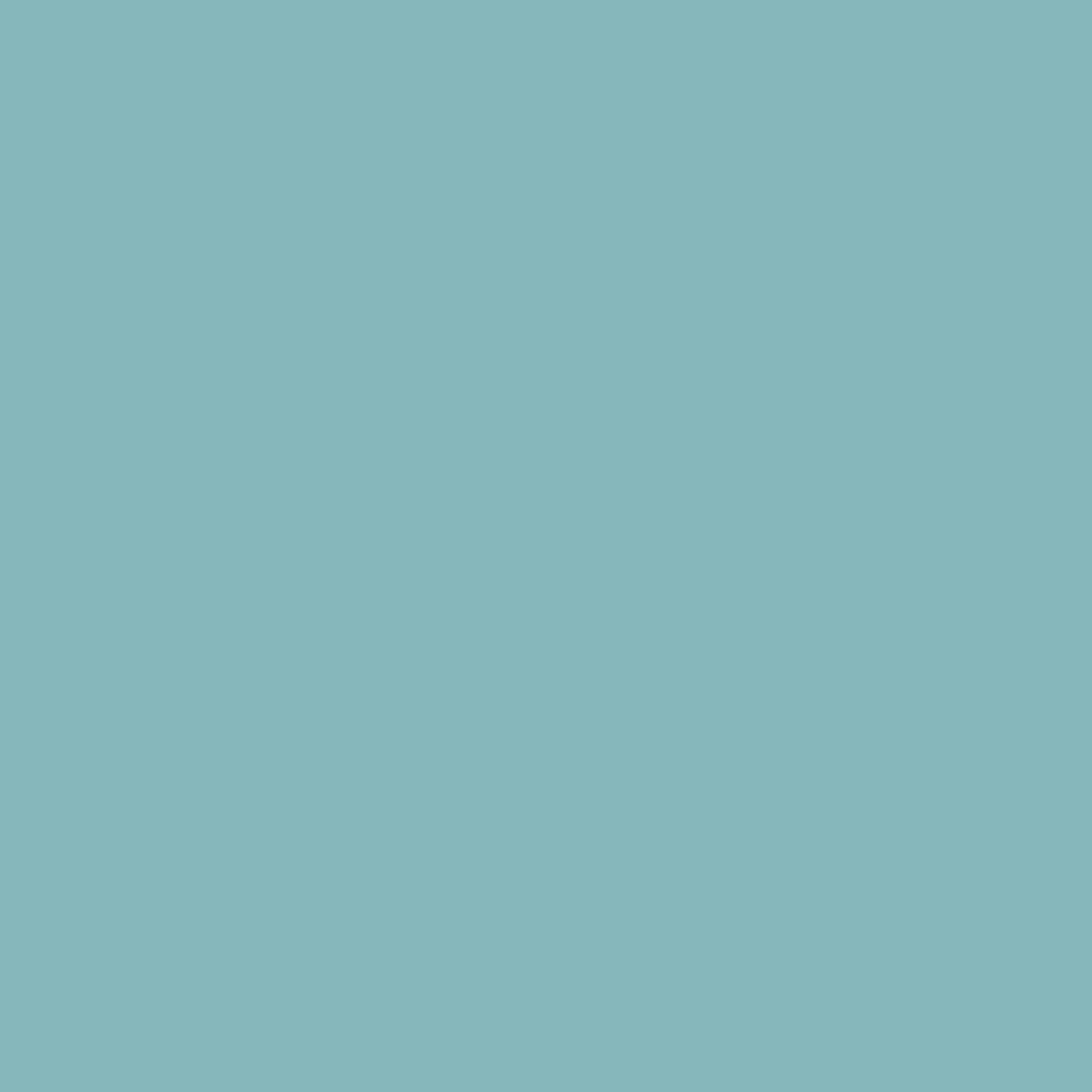 Surfin' USA - SV713 - Pionite Laminate