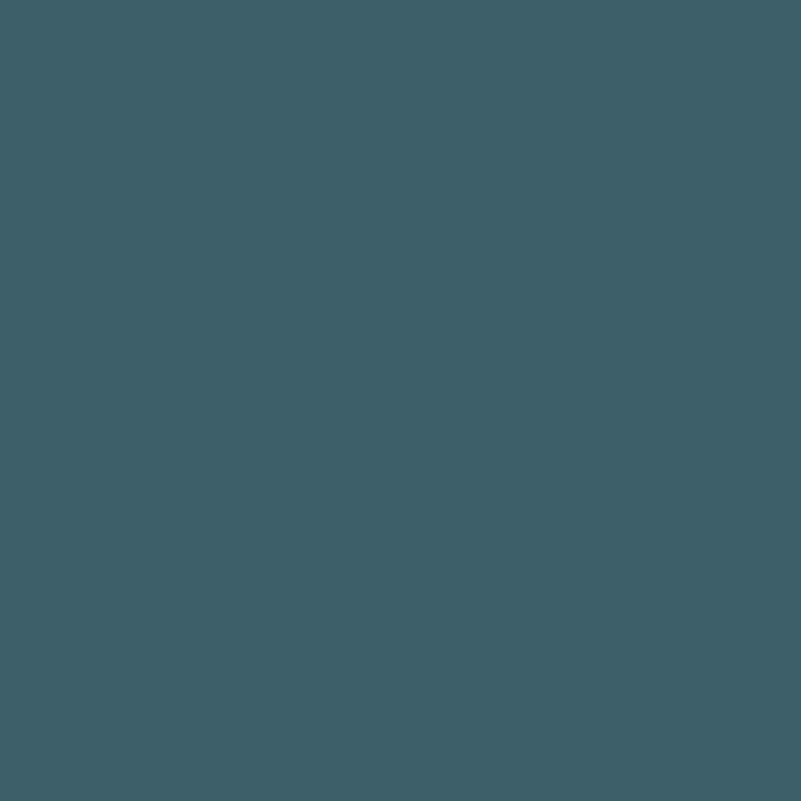  Summer Vacation - SB027 - Pionite 