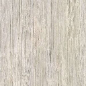 Pionite WZ160 Earl Grey Sorbet