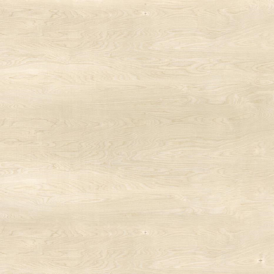 Birch Plywood - Y0684 - Wilsonart Virtual Design Library Laminate Sheets