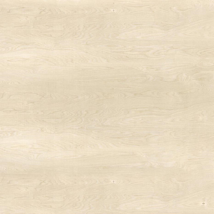 Birch Plywood - Y0684 - Wilsonart Virtual Design Library Laminate Sheets