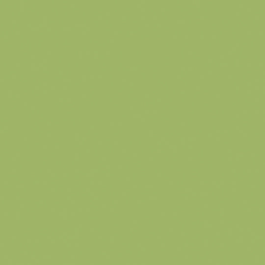 Leaf Green - 8820 - Formica Laminate PVC Edgeband
