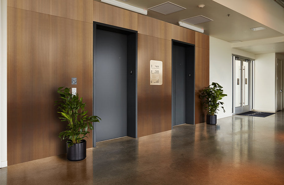 Modern office hallway with wooden walls, black doors, and potted plants.