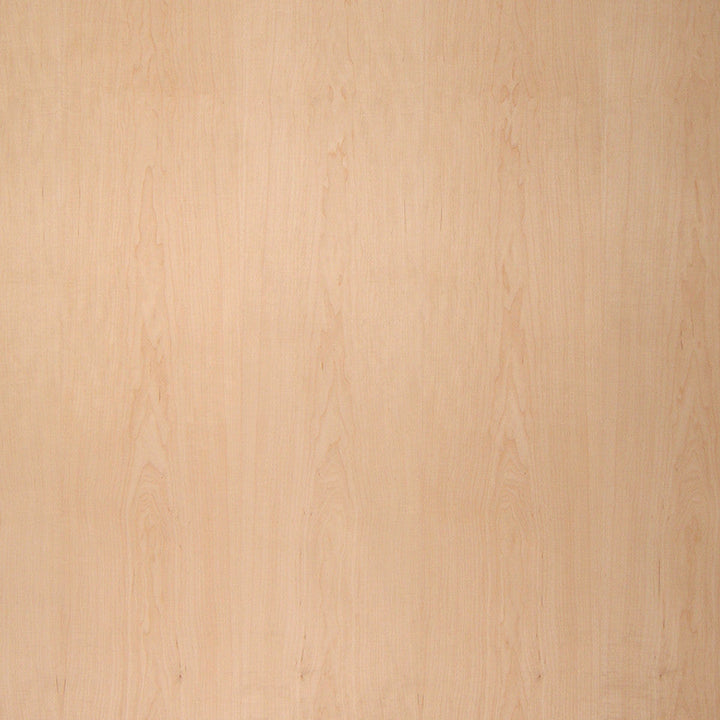 Maple - Wood Veneer 