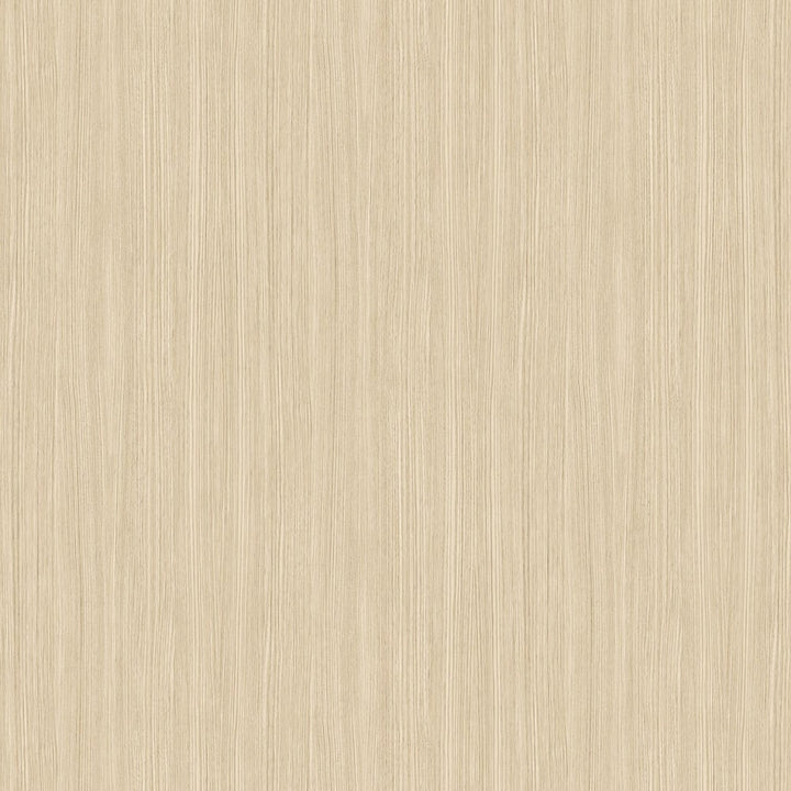 Bleached Walnut Crossgrain - Y0596 - Wilsonart Virtual Design Library Laminate Sheets