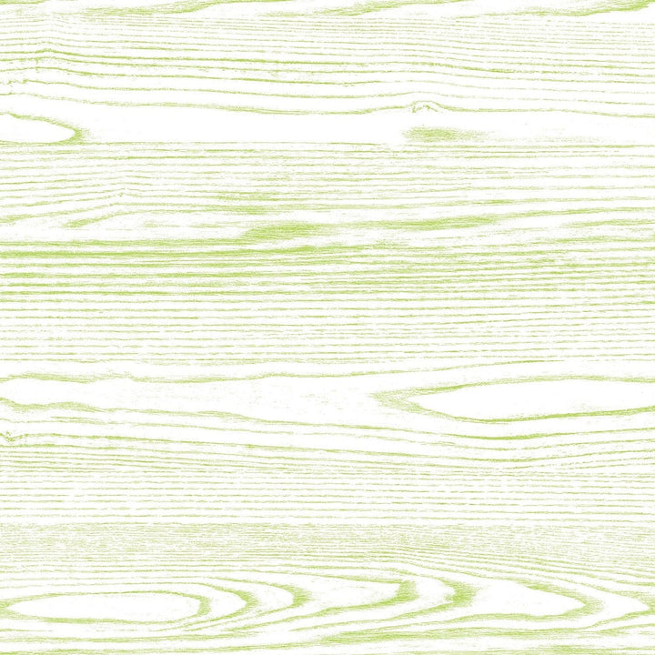 Lime Ash - Y0711 - Wilsonart Virtual Design Library Laminate Sheets