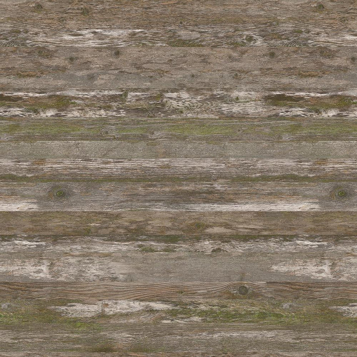 Lichen the Look - Y0764 - Wilsonart Virtual Design Library Laminate Sheets
