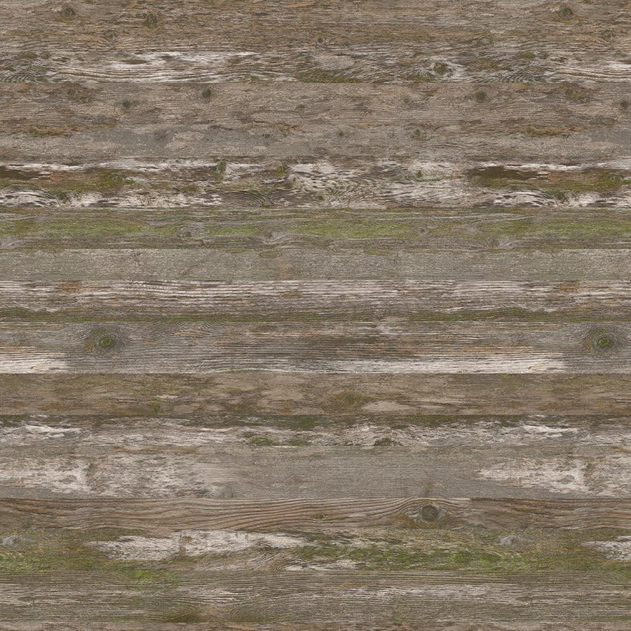 Lichen the Look - Y0764 - Wilsonart Virtual Design Library Laminate Sheets